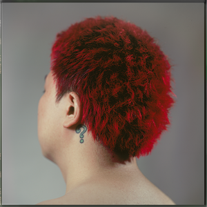 亚洲最大的黄色网
