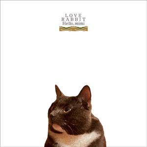 亚洲最大的黄色网
