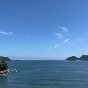 亚洲最大的黄色网
